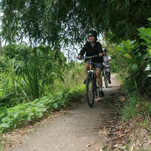 green_paths_for_cycling_under_the_bamboo.jpg