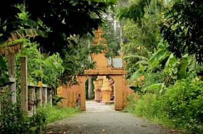 The entrance to the pagoda, hidden in the green