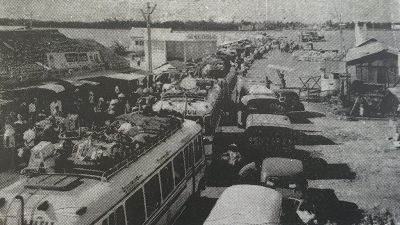Cảnh kẹt xe ở bến phà Mỹ Thuận đầu thập niên 1960, Ảnh tư liệu báo Tiền Giang